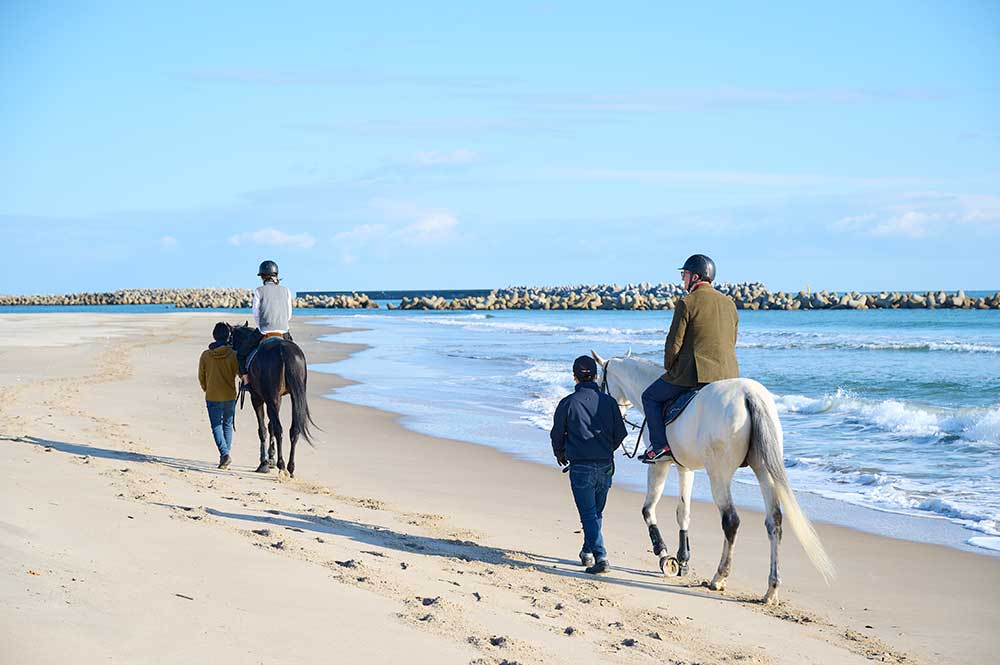 Go for a gallop on the beach or forest