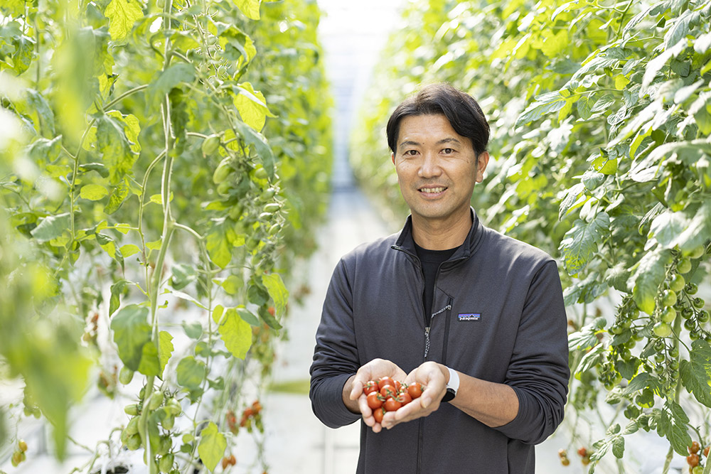 A Tomato Paradise and More . . . .